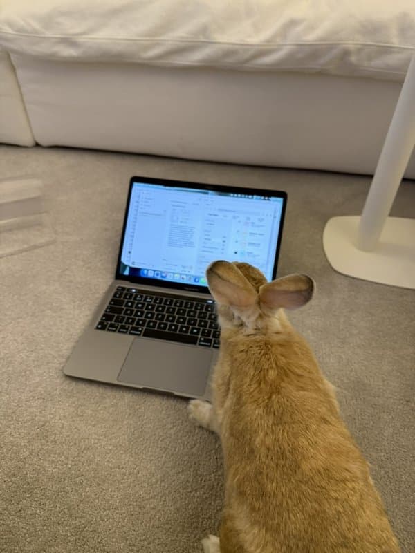 Rafsy at the laptop